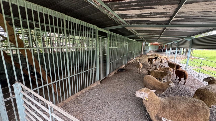 Commercial Property for Sale in Kaalplaats West Gauteng