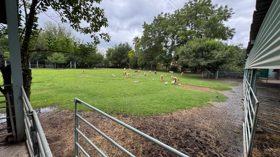 Commercial Property for Sale in Kaalplaats West Gauteng