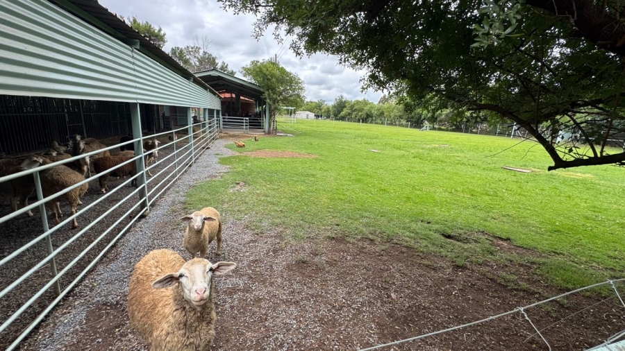 Commercial Property for Sale in Kaalplaats West Gauteng