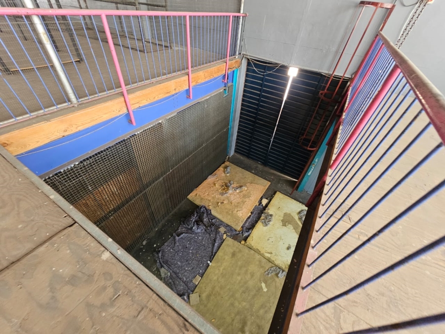 To Let commercial Property for Rent in Koedoespoort Industrial Gauteng