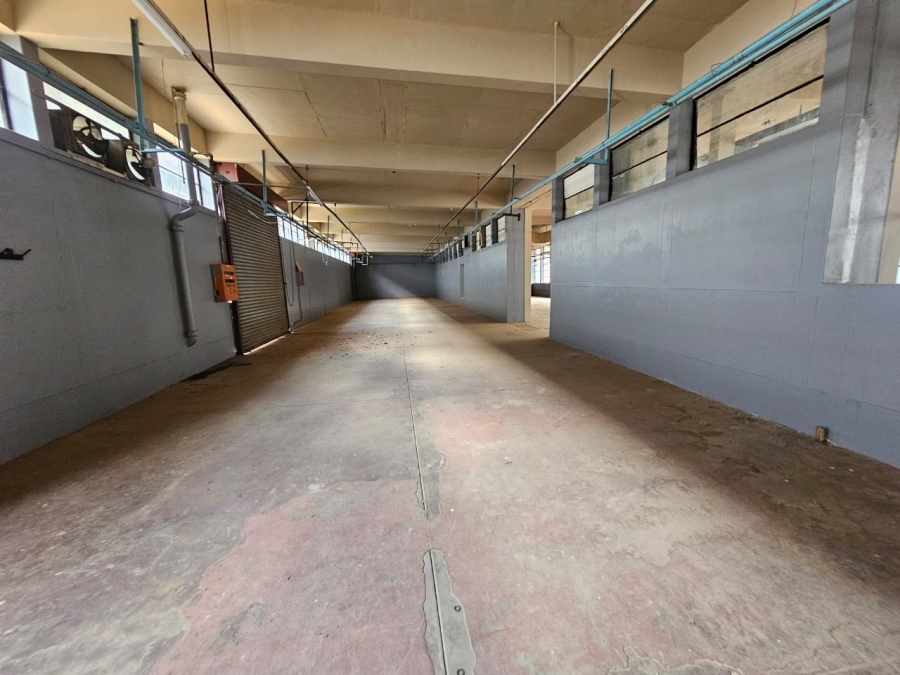 To Let commercial Property for Rent in Koedoespoort Industrial Gauteng