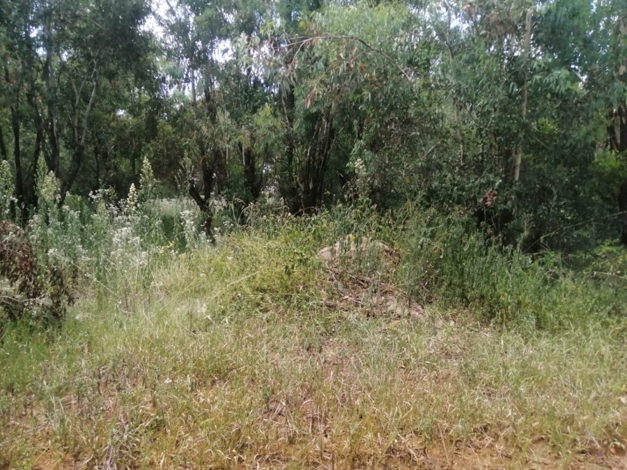 Commercial Property for Sale in Ohenimuri Gauteng