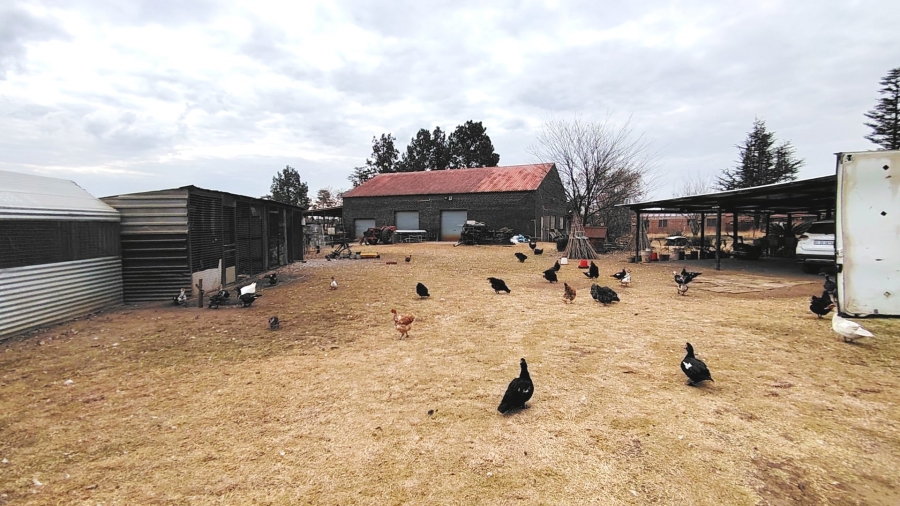 Commercial Property for Sale in Buyscelia Gauteng