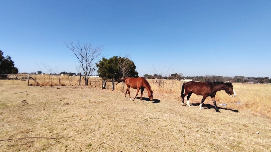 Commercial Property for Sale in Northdene Gauteng