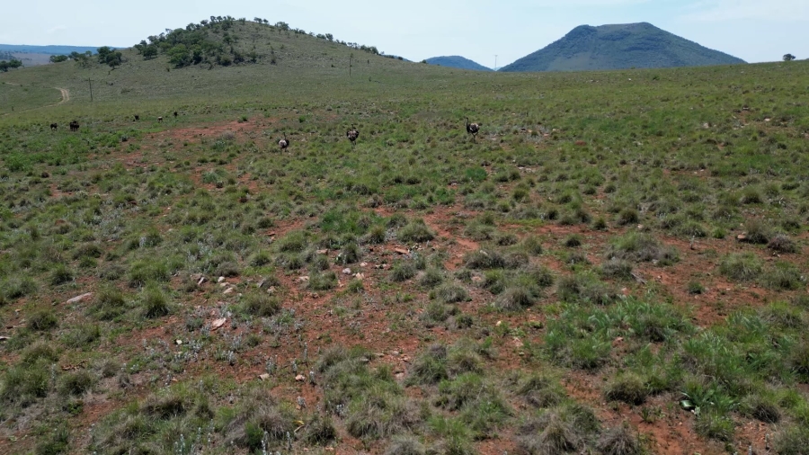  Bedroom Property for Sale in Vlakfontein Gauteng