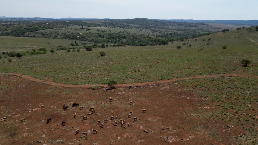 Bedroom Property for Sale in Vlakfontein Gauteng