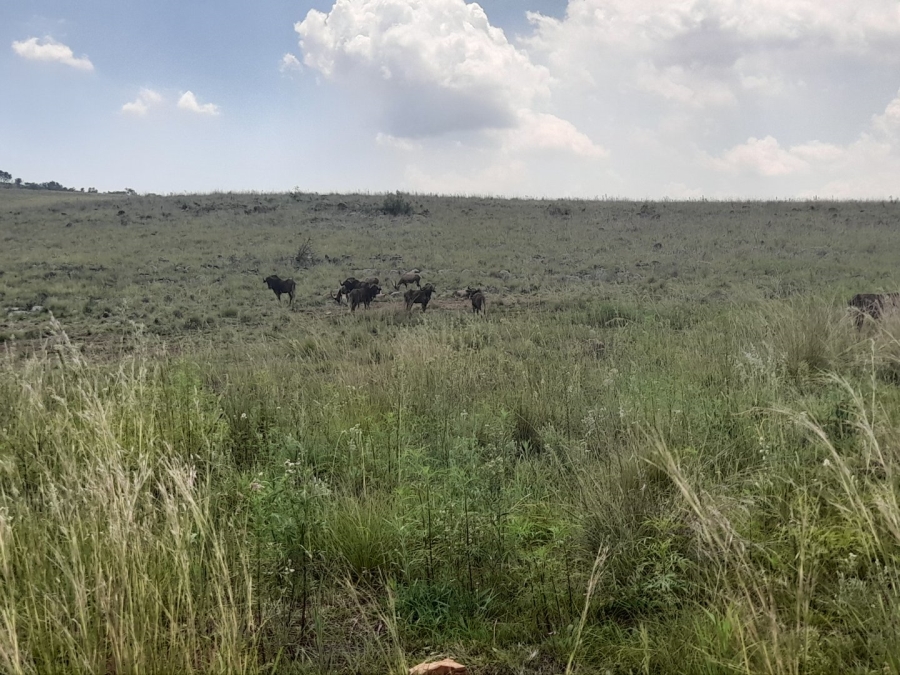  Bedroom Property for Sale in Vlakfontein Gauteng