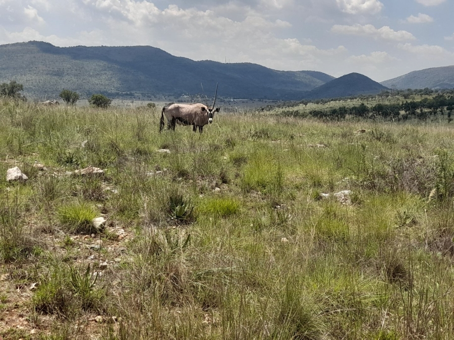  Bedroom Property for Sale in Vlakfontein Gauteng