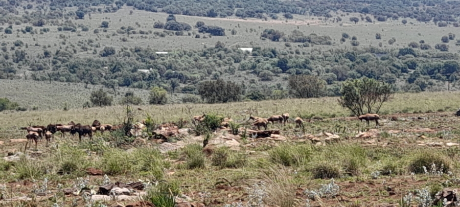  Bedroom Property for Sale in Vlakfontein Gauteng