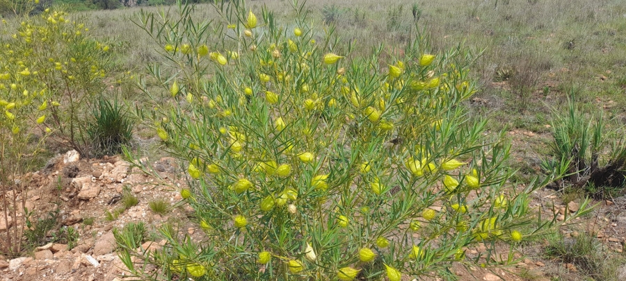  Bedroom Property for Sale in Vlakfontein Gauteng