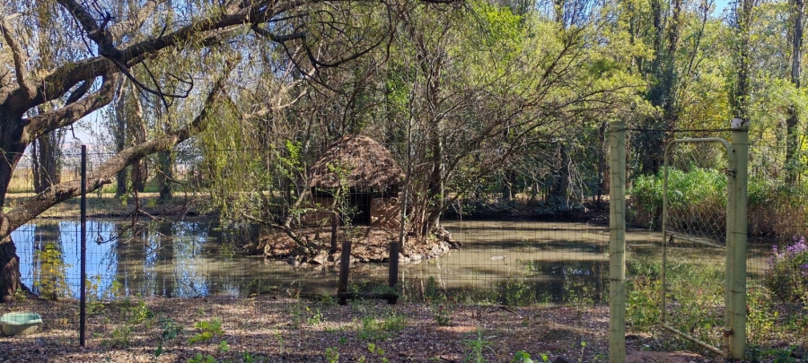 11 Bedroom Property for Sale in Knopjeslaagte Gauteng