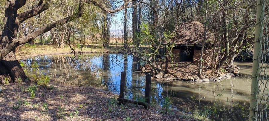 11 Bedroom Property for Sale in Knopjeslaagte Gauteng