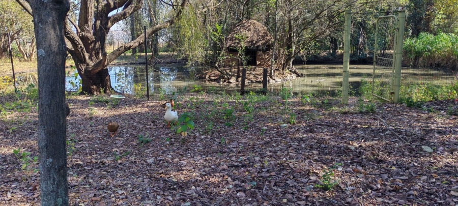 11 Bedroom Property for Sale in Knopjeslaagte Gauteng