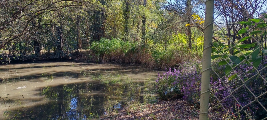 11 Bedroom Property for Sale in Knopjeslaagte Gauteng