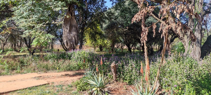 11 Bedroom Property for Sale in Knopjeslaagte Gauteng