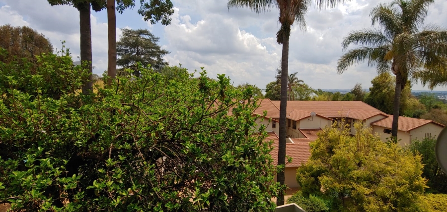 To Let 4 Bedroom Property for Rent in Illovo Gauteng