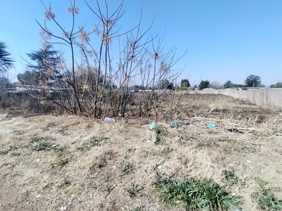 Commercial Property for Sale in Witkop Gauteng