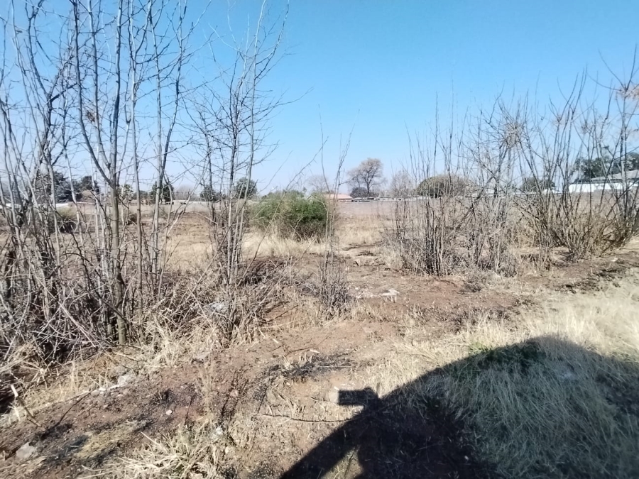 Commercial Property for Sale in Witkop Gauteng