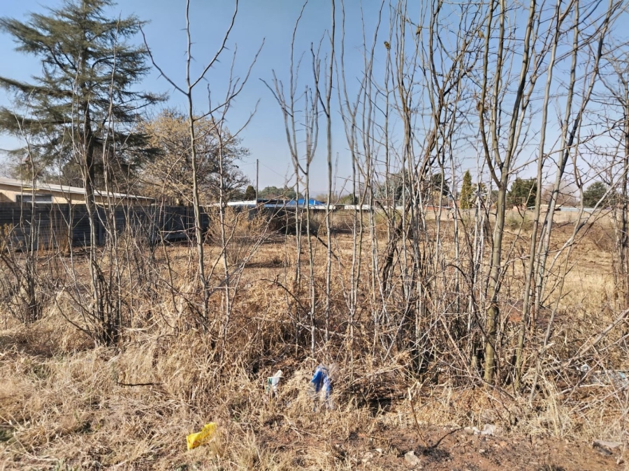 Commercial Property for Sale in Witkop Gauteng