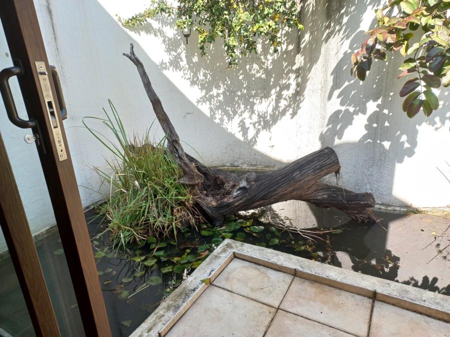 To Let 6 Bedroom Property for Rent in Morningside Manor Gauteng