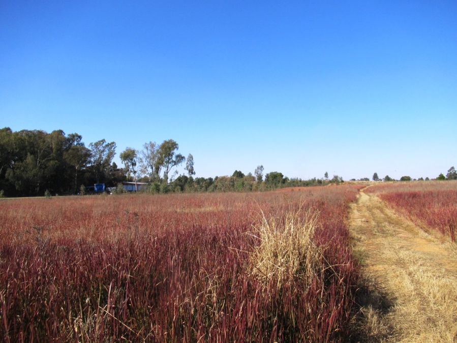  Bedroom Property for Sale in Bronkhorstspruit Rural Gauteng