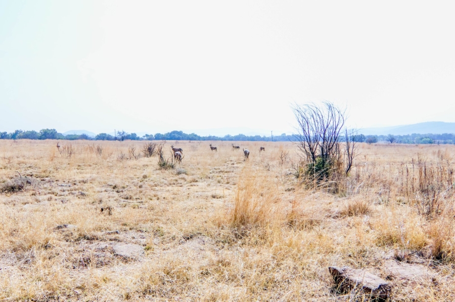 Commercial Property for Sale in Riverside Estate Gauteng
