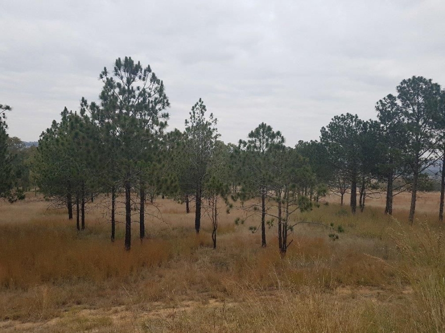  Bedroom Property for Sale in Lanseria Gauteng