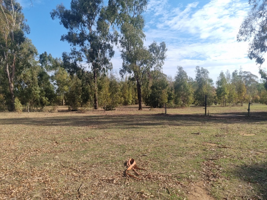 8 Bedroom Property for Sale in Benoni AH Gauteng