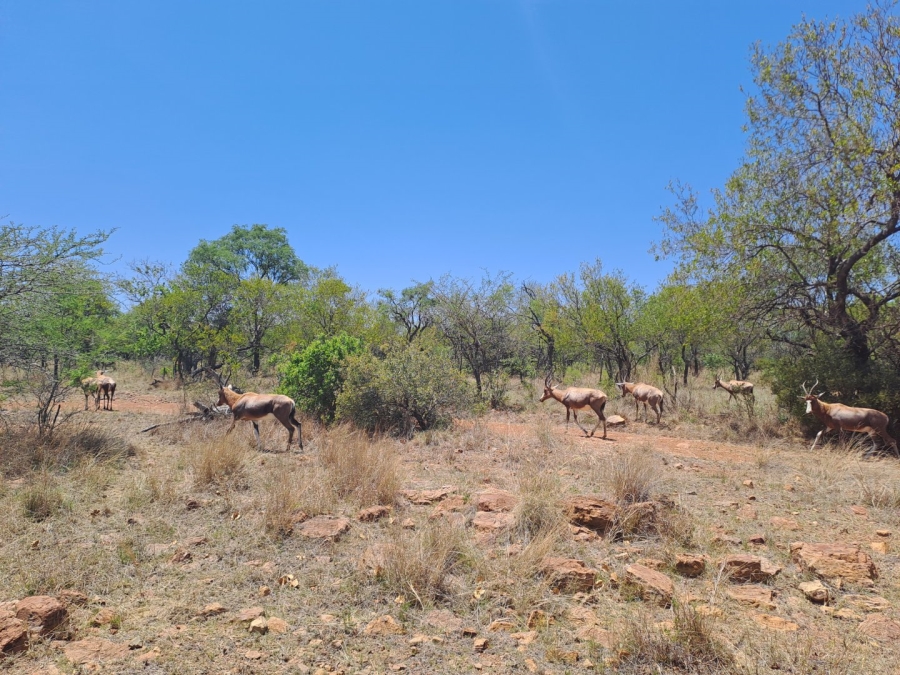 10 Bedroom Property for Sale in Dinokeng Game Reserve Gauteng