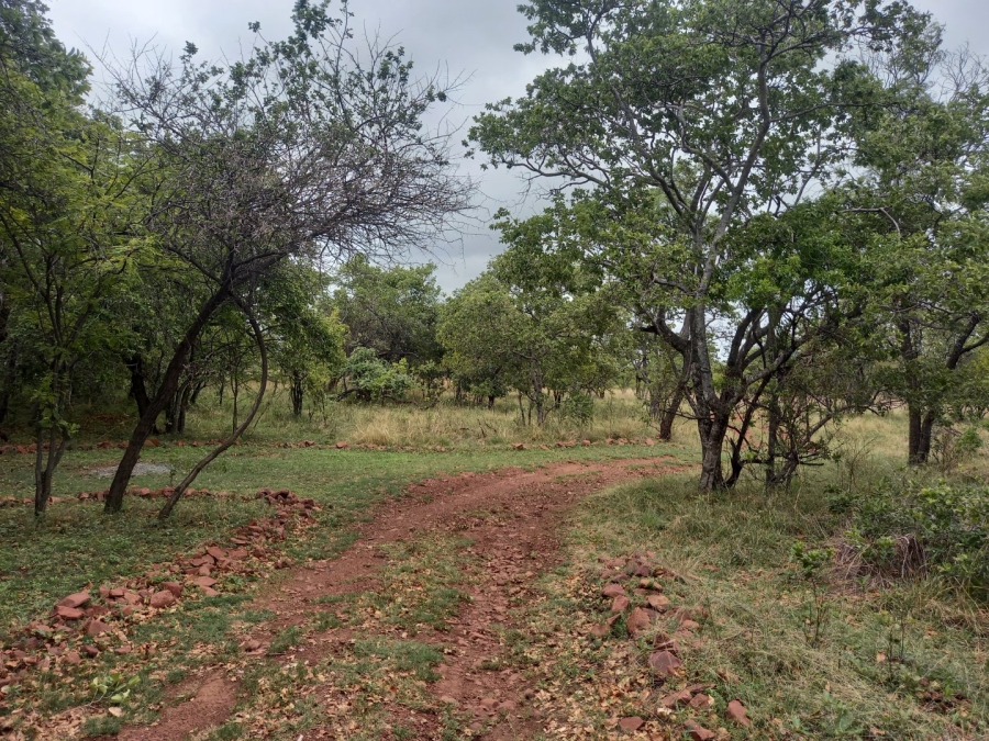 10 Bedroom Property for Sale in Dinokeng Game Reserve Gauteng