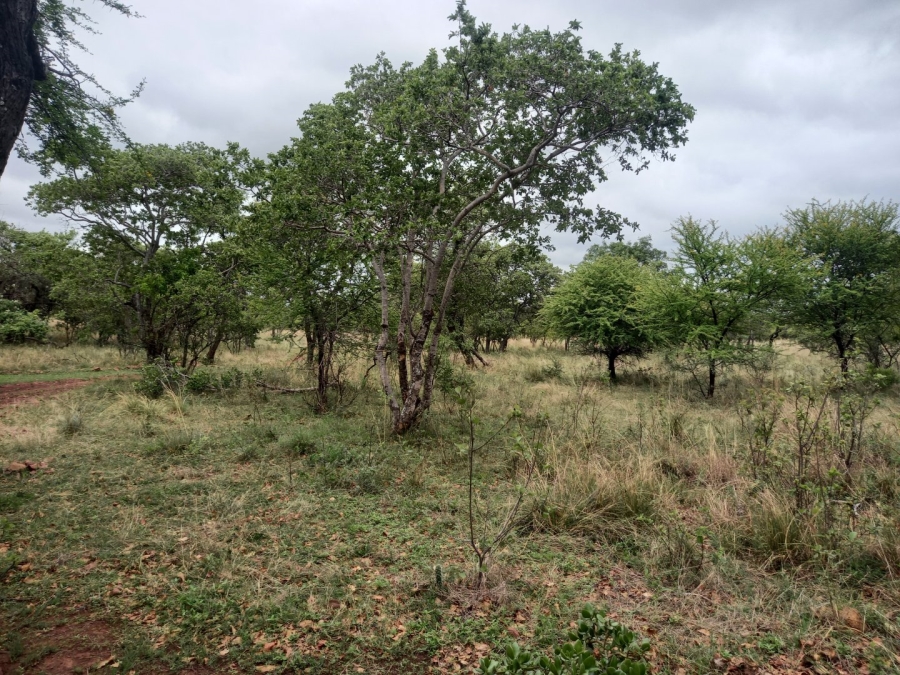 10 Bedroom Property for Sale in Dinokeng Game Reserve Gauteng