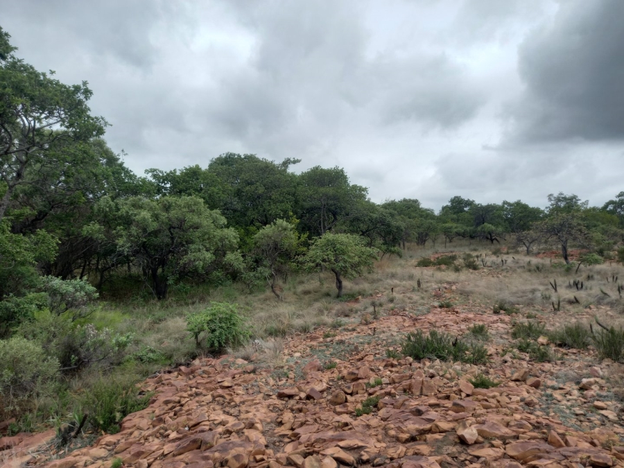 10 Bedroom Property for Sale in Dinokeng Game Reserve Gauteng
