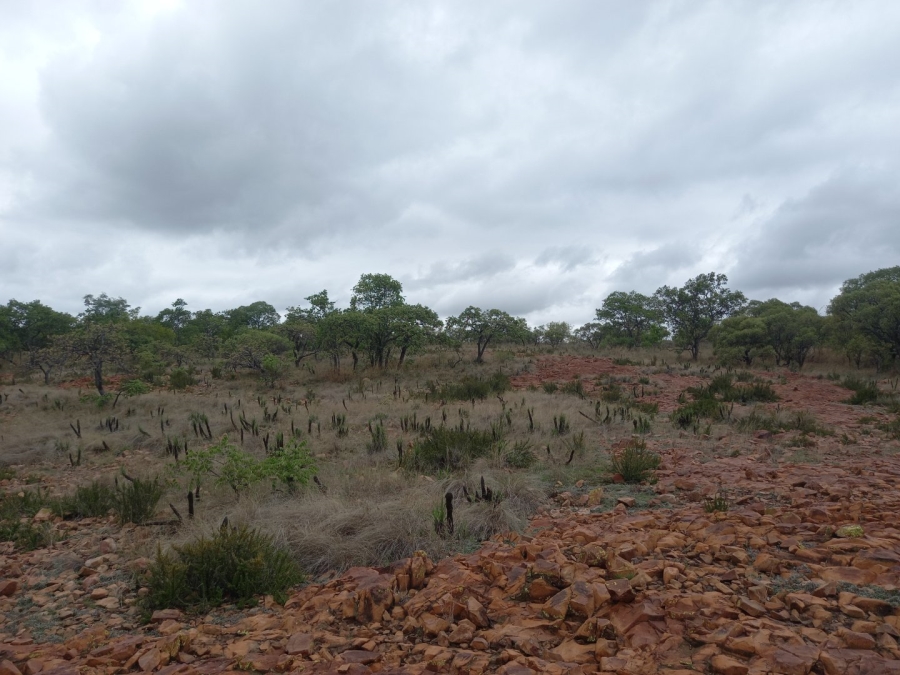 10 Bedroom Property for Sale in Dinokeng Game Reserve Gauteng