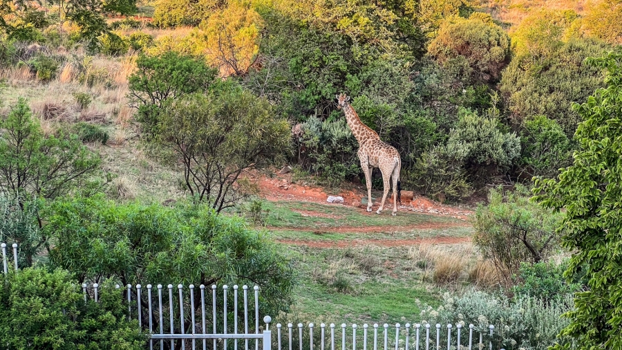 7 Bedroom Property for Sale in Meyersdal Eco Estate Gauteng
