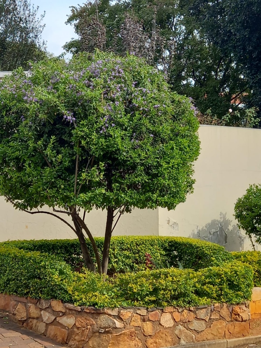 To Let 1 Bedroom Property for Rent in Rosebank Gauteng