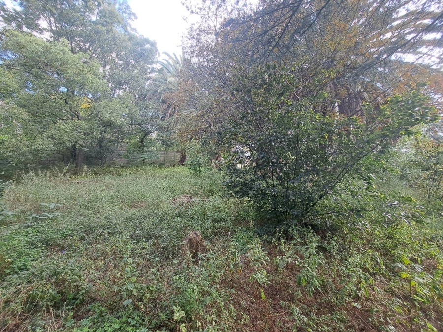  Bedroom Property for Sale in Eastleigh Gauteng