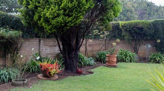  Bedroom Property for Sale in Cloverdene Gauteng