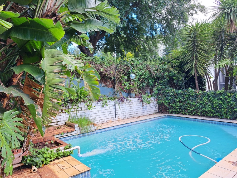 To Let 3 Bedroom Property for Rent in Greenside Gauteng