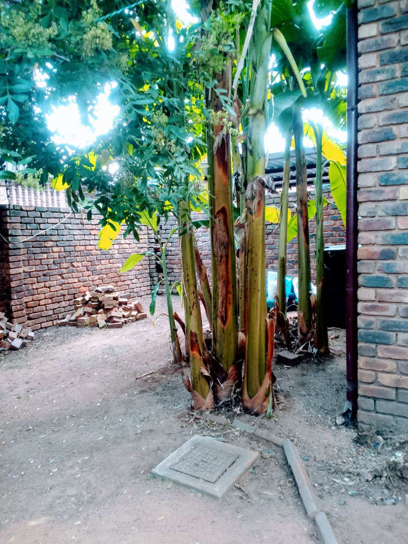 3 Bedroom Property for Sale in Silverton Gauteng