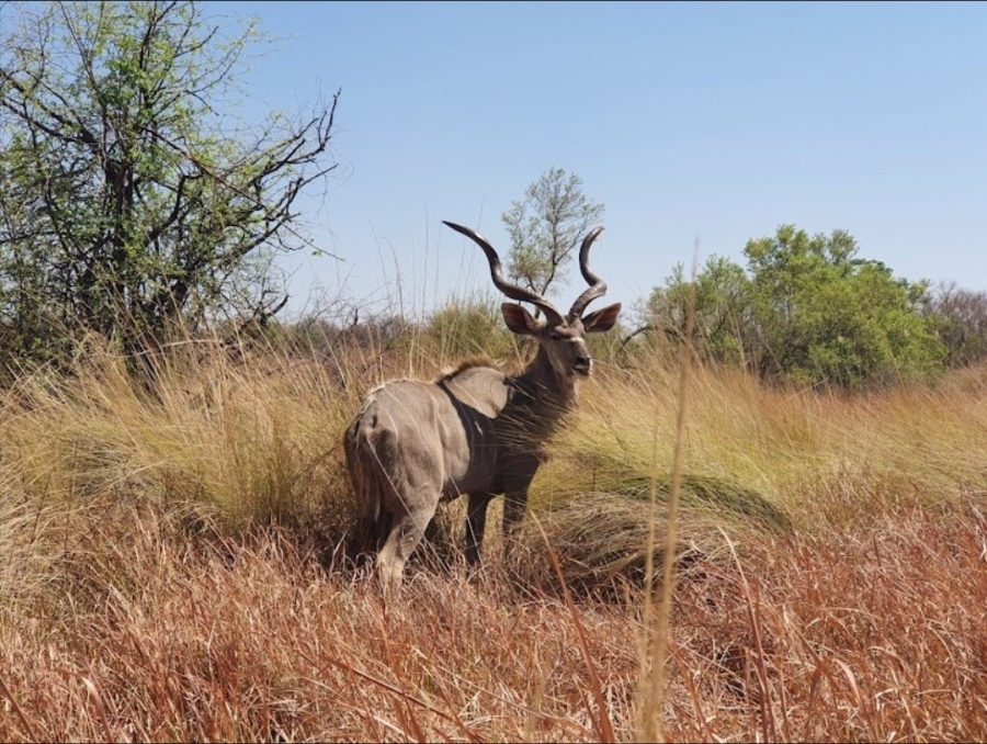  Bedroom Property for Sale in Dinokeng Game Reserve Gauteng