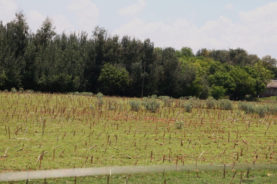 4 Bedroom Property for Sale in Meyerton Central Gauteng