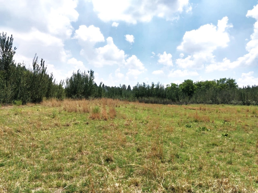 4 Bedroom Property for Sale in Meyerton Central Gauteng