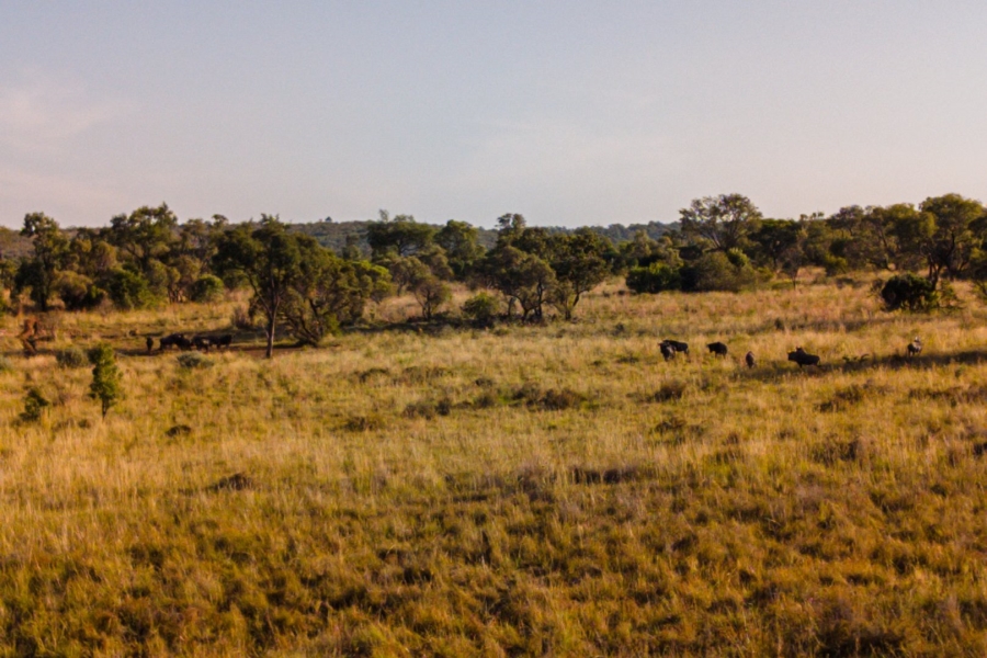 Commercial Property for Sale in Cullinan Rural Gauteng