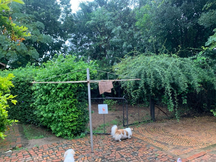 To Let 3 Bedroom Property for Rent in Elardus Park Gauteng