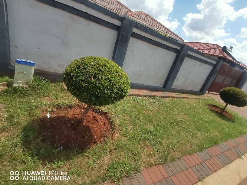 To Let 3 Bedroom Property for Rent in The Orchards Gauteng