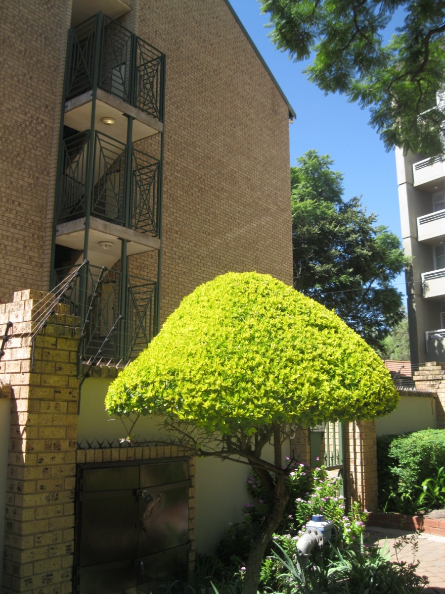 To Let 1 Bedroom Property for Rent in Hatfield Gauteng