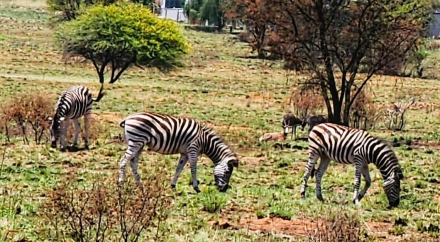 4 Bedroom Property for Sale in Kleinfontein A H Gauteng