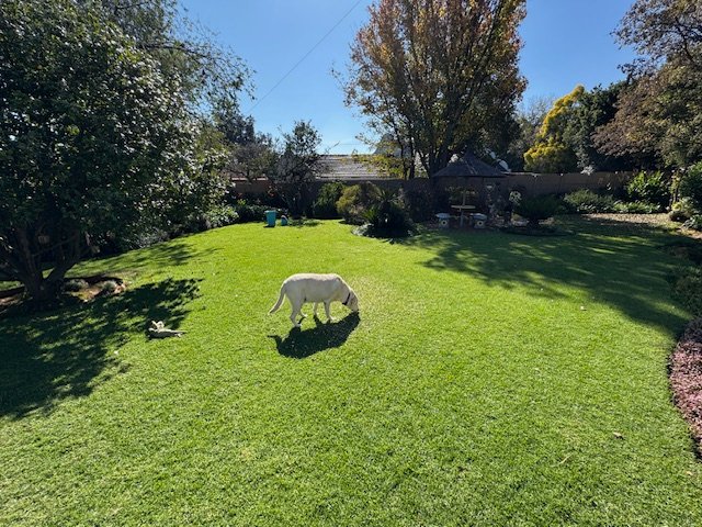 4 Bedroom Property for Sale in Glen Marais Gauteng