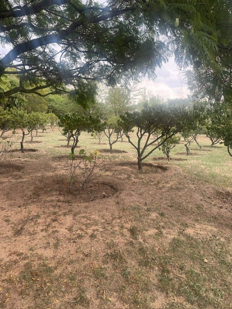  Bedroom Property for Sale in Farmall A H Gauteng
