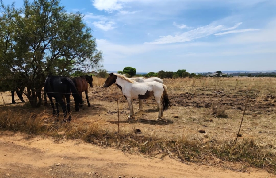2 Bedroom Property for Sale in Kleinfontein A H Gauteng